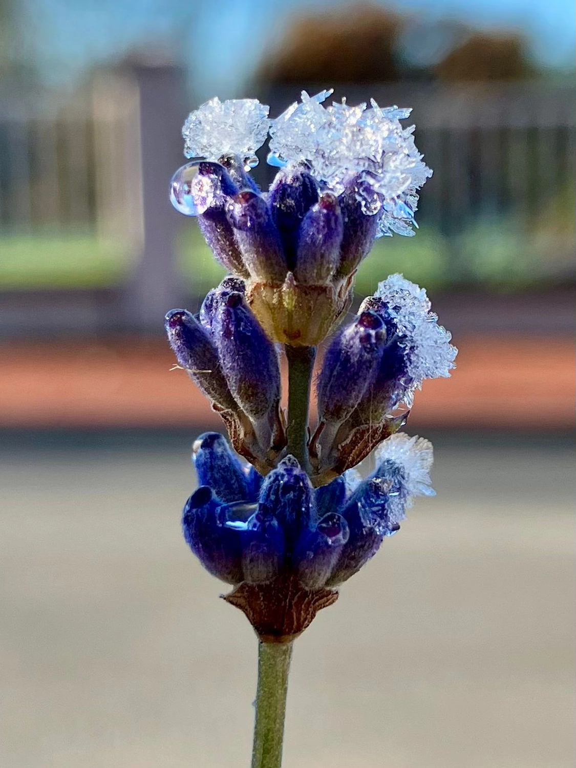 Motivation und Lebensziele erreichen