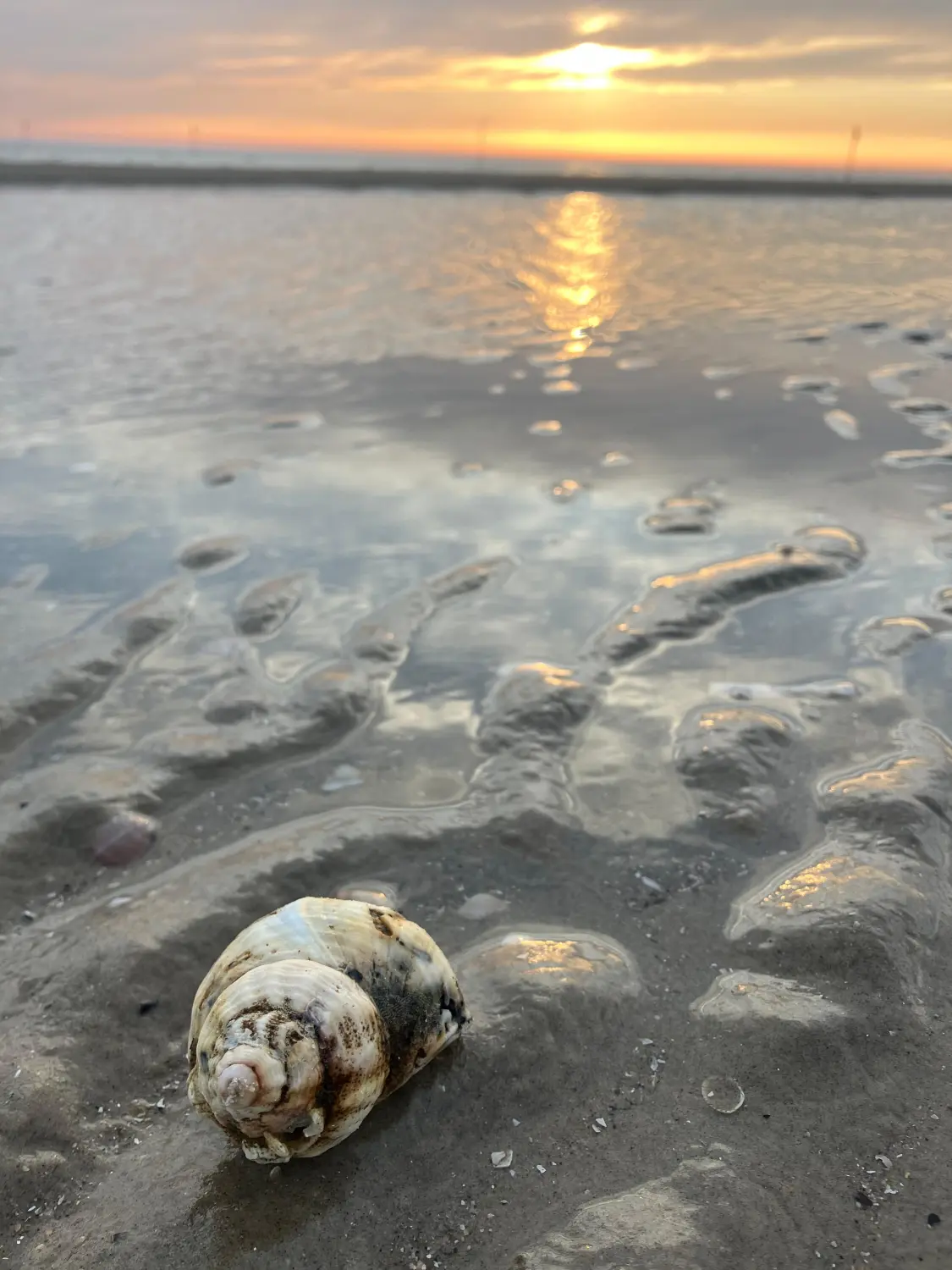 Sinn des Lebens finden